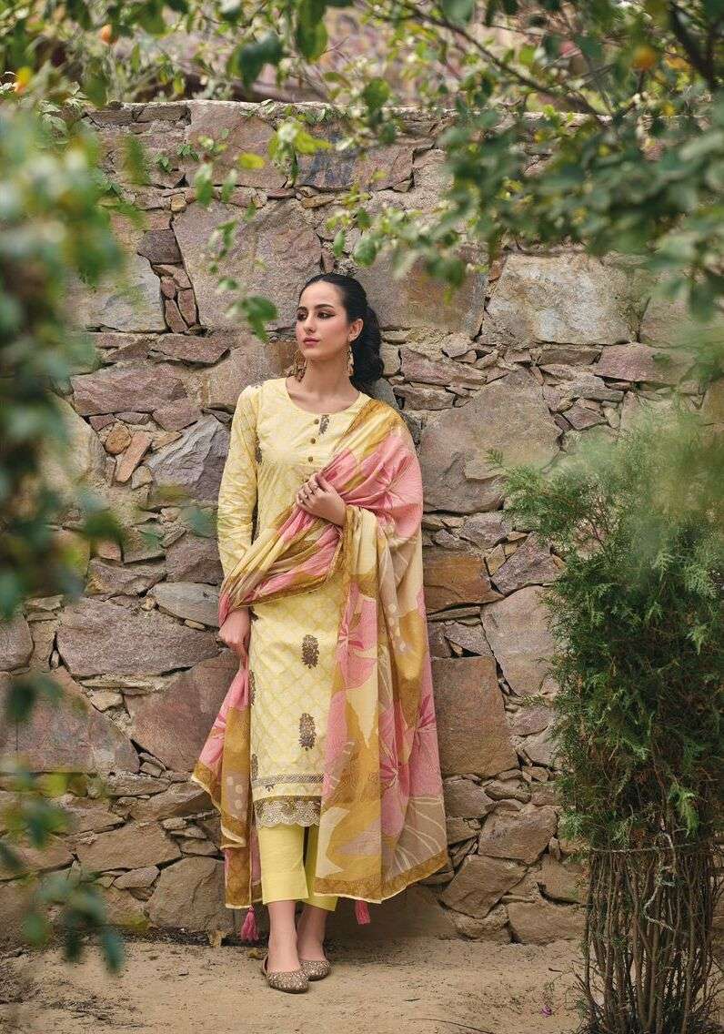 Ibiza Emily Vol 2 Cotton Digital Printed Salwar suits market in jaipur