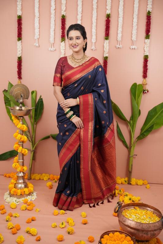 Ragini vol 1 soft silk premium two tone sarees surat saree wholesale market