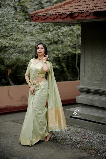Mohini-vol-19 Beautiful cotton with zari checks weaves sarees surat wholesale market