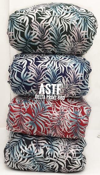 Sajni delta print Delhi fabric market prices