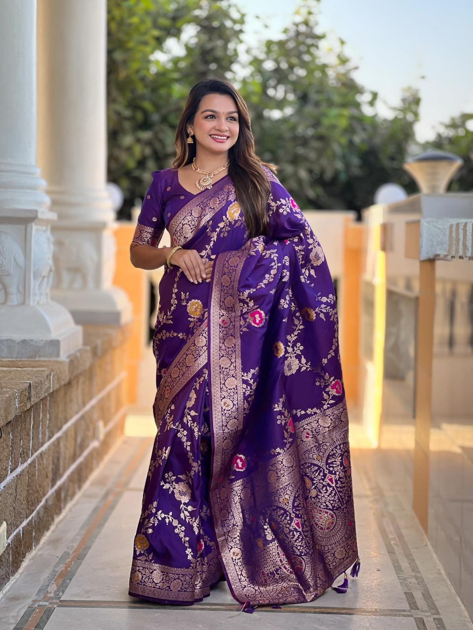 Anupama banarasi -1 soft silk meenakari touchup b2b saree