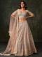 Dusty Rose Pink Heavy Net Thread Embroidery Work Designer lehenga choli wholesale