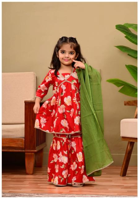 Karma kids 10 girls wear 3 pcs biba kurti wholesaler