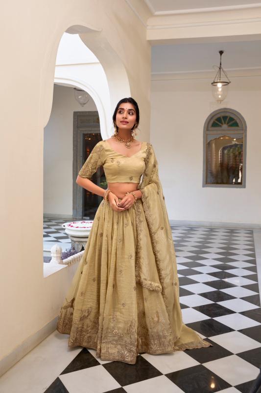 HEENAL Gold Crush OWT Lehenga Choli Retailers in Delhi