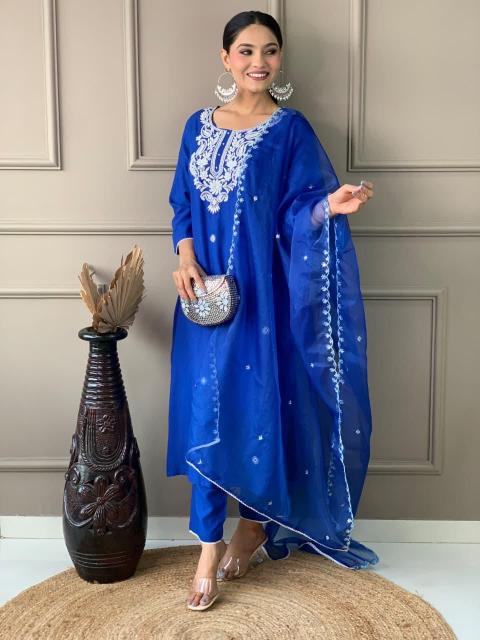 Jaipuri 3pcs luckhnowi chikankaari work kurti wholesalers in chandni chowk delhi 