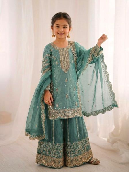 Kids Ethnic Wear ZSR 3169 Fendy Silk Rama Blue Children wear wholesale suppliers
