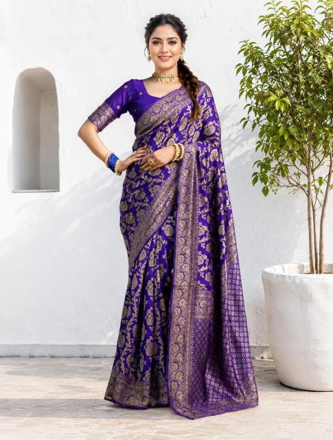 Vastrangan lichi silk surat saree wholesale market 