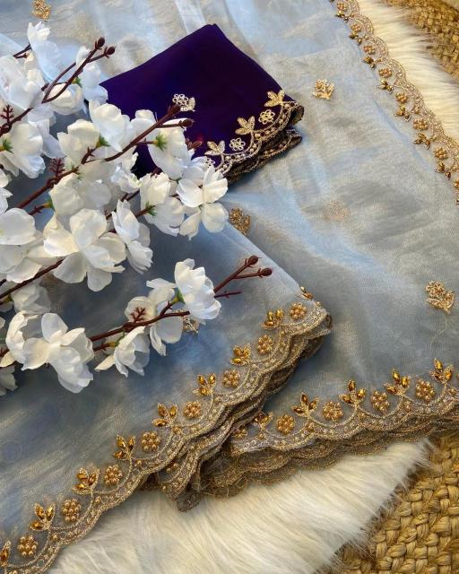 RIONA SOFT TWILLS ORGENZA SAREE SAREES FROM SURAT ONLINE SHOPPING